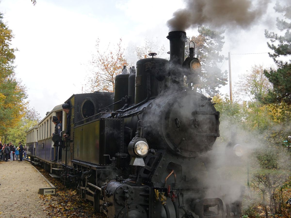 Un treno a vapore tra gli alberi d’autunno a Budapest