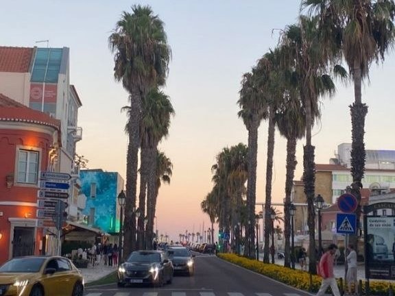 Un viale di palme al tramonto, in Portogallo